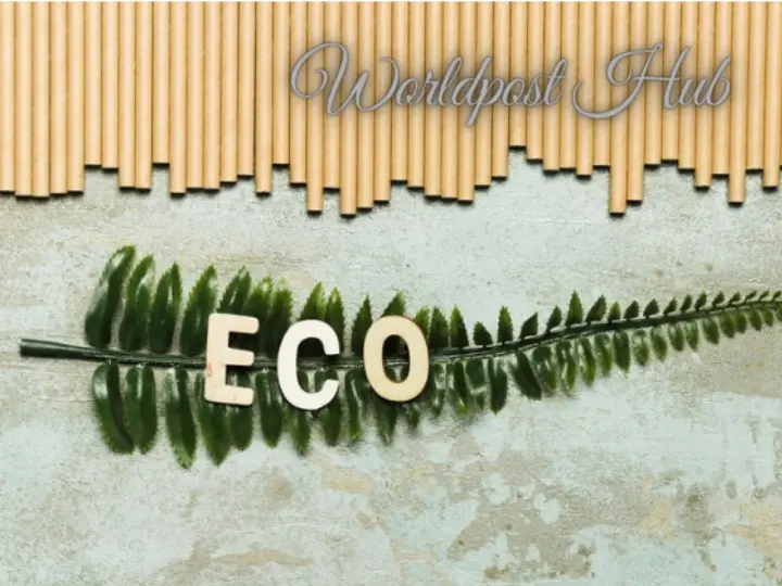 Sustainability vs ESG